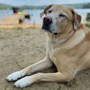 Meet your Posher, Sara-isobel